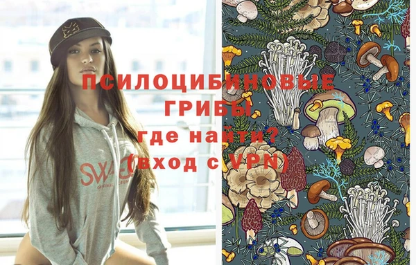 мдма Горняк