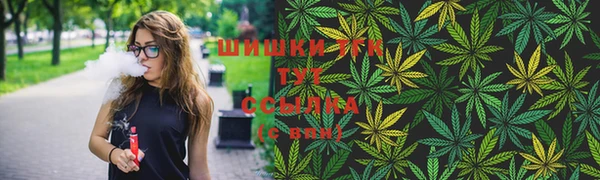 хмурый Вяземский