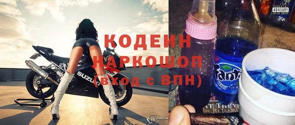 хмурый Вяземский