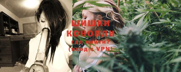 хмурый Вяземский